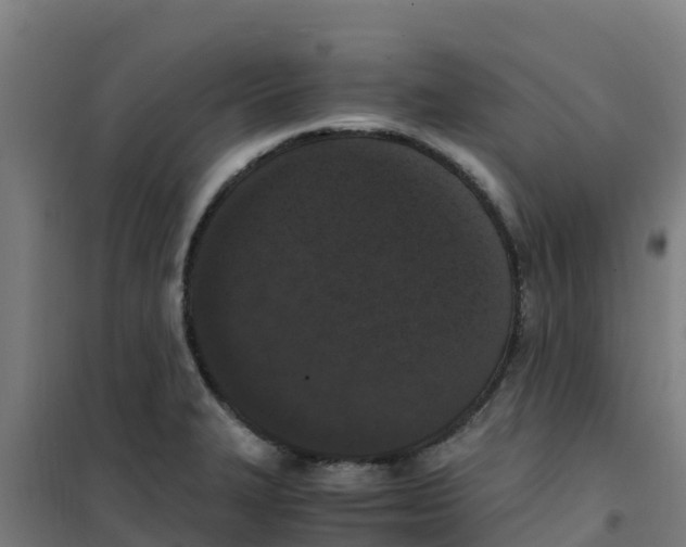 X0000100351327200807031804