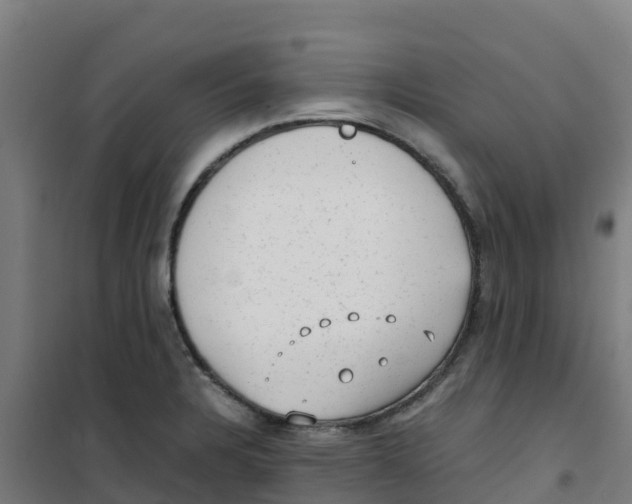 X0000100351328200807031804