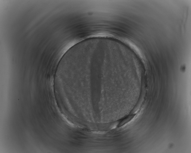 X0000100351329200807031804