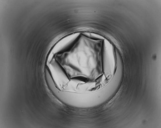 X0000100351330200807031804