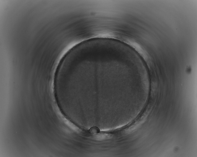 X0000100351331200807031804