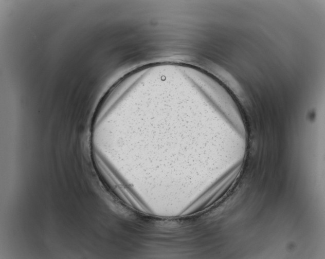 X0000100351332200807031804