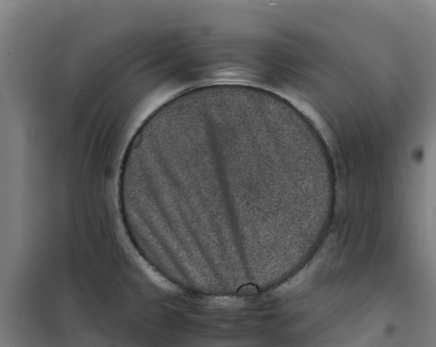 X0000100351333200807031804