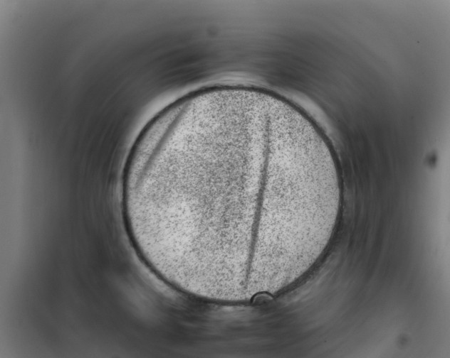 X0000100351335200807031805