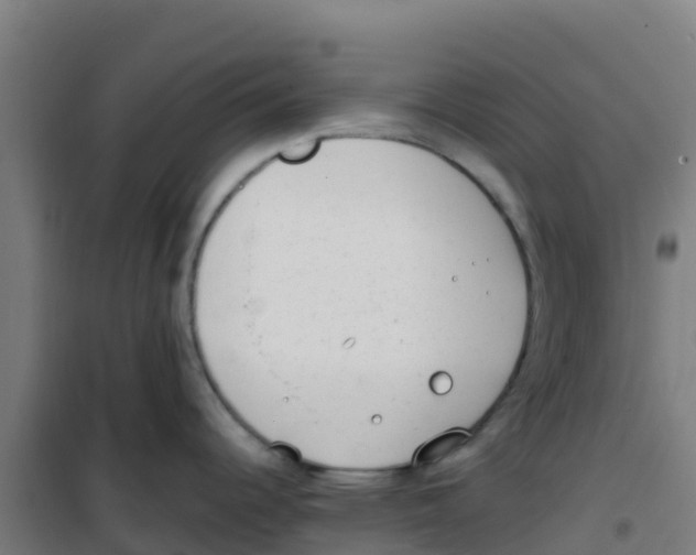 X0000100351344200807031805