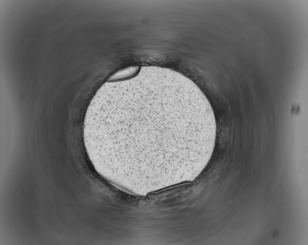 X0000100351345200807031804