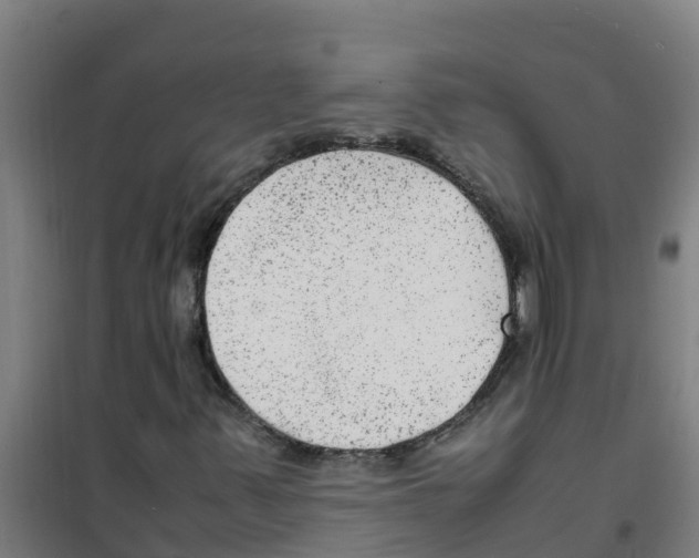 X0000100351347200807031804