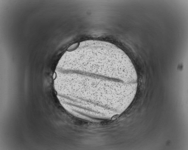 X0000100351349200807031804