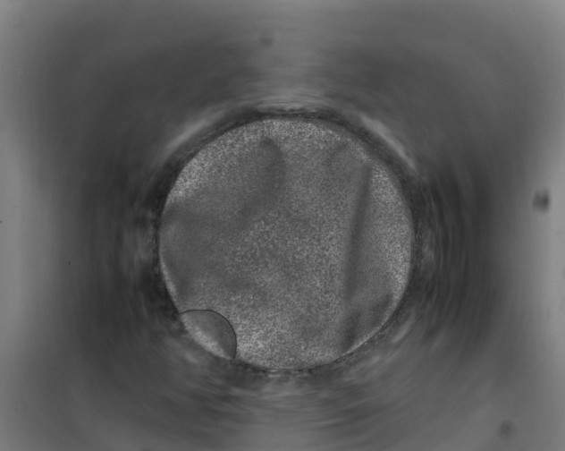 X0000100351350200807031804