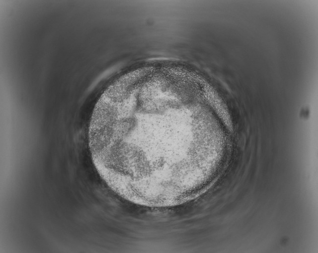 X0000100351351200807031804