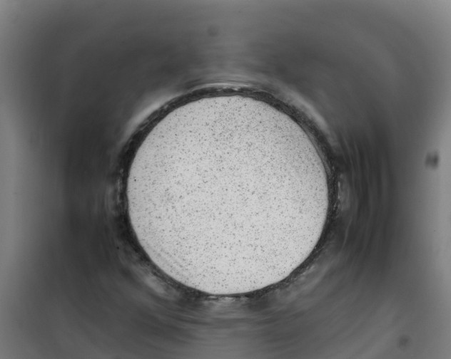 X0000100351352200807031804