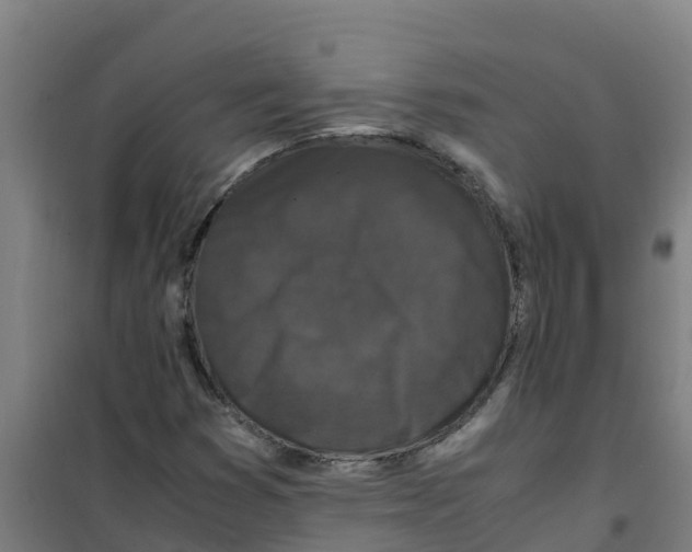 X0000100351353200807031804