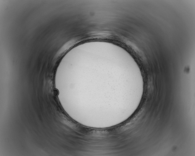 X0000100351354200807031804