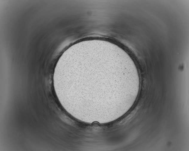 X0000100351355200807031804