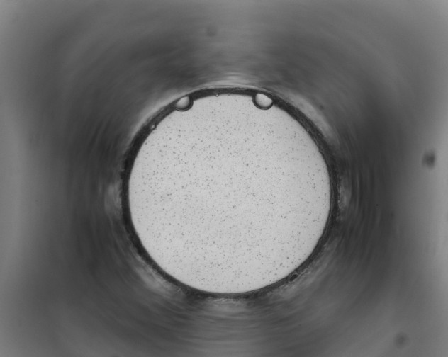 X0000100351356200807031804