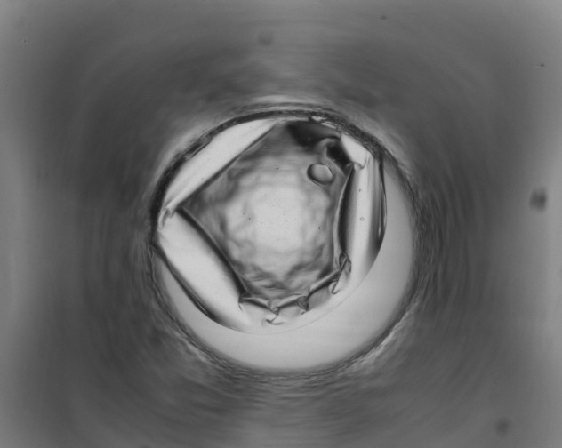 X0000100351357200807031804