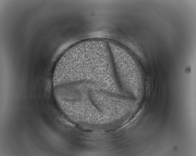 X0000100351358200807031804