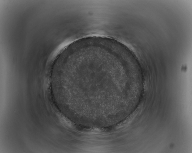 X0000100351359200807031804