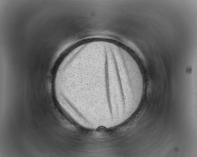 X0000100351360200807031804