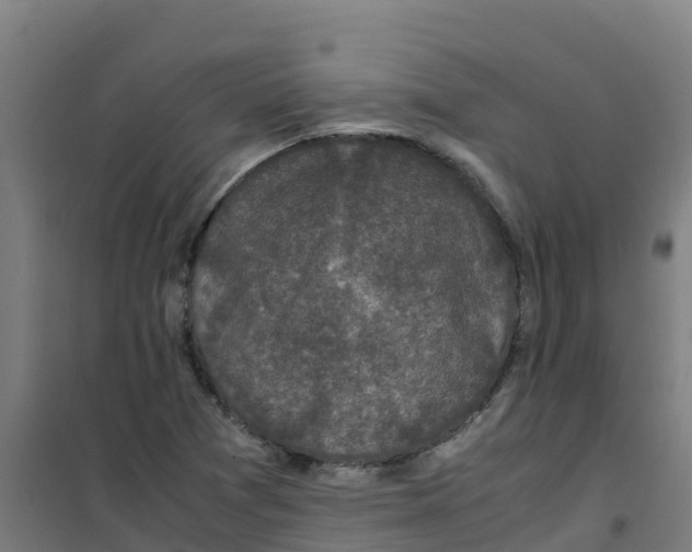 X0000100351361200807031804