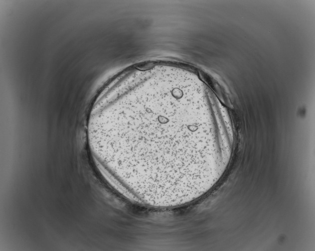 X0000100351363200807031804