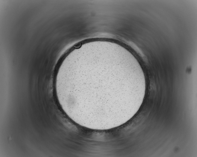 X0000100351364200807031804