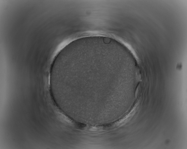 X0000100351365200807031804