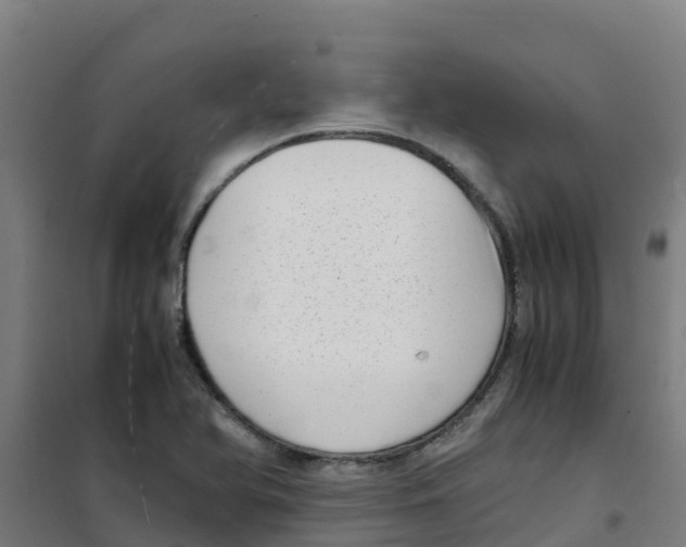 X0000100351366200807031804