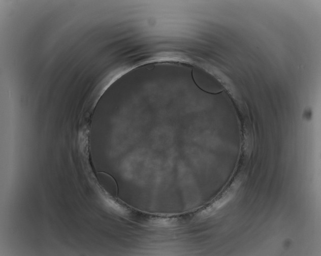 X0000100351369200807031804