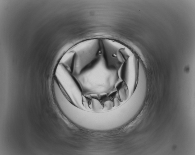 X0000100351373200807031804