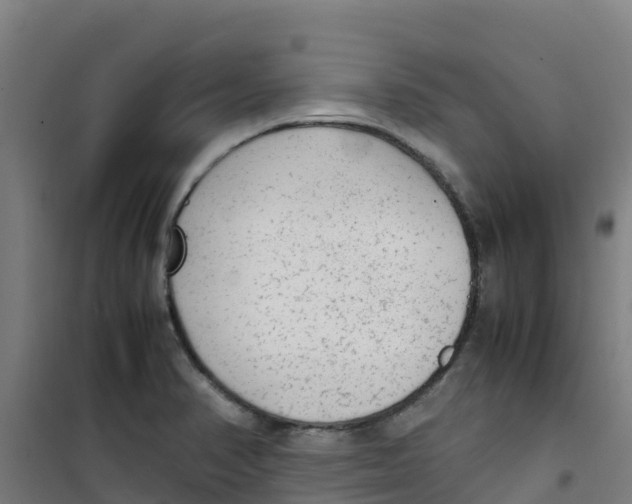 X0000100351374200807031804