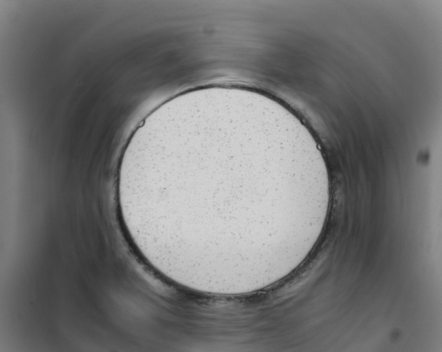 X0000100351375200807031803