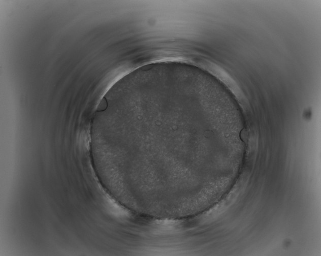 X0000100351377200807031803