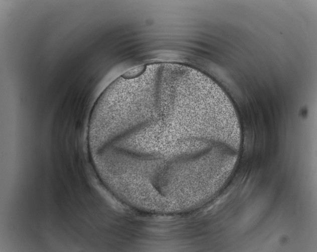 X0000100351378200807031803