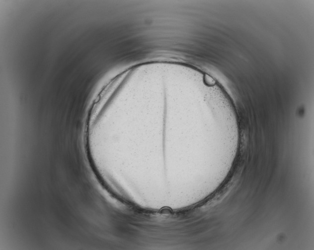 X0000100351379200807031803