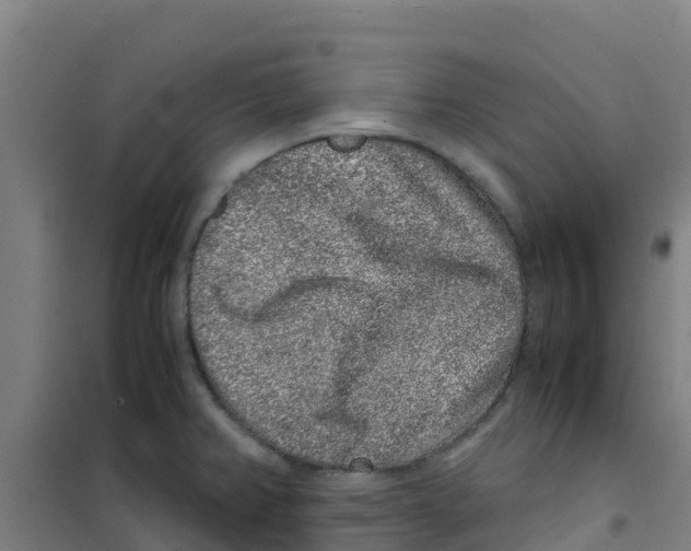 X0000100351382200807031803