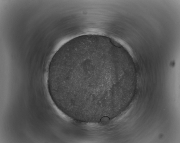 X0000100351383200807031803