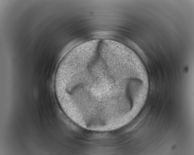 X0000100351386200807031803