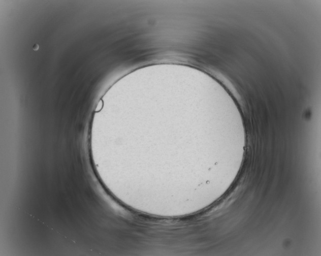 X0000100351387200807031803