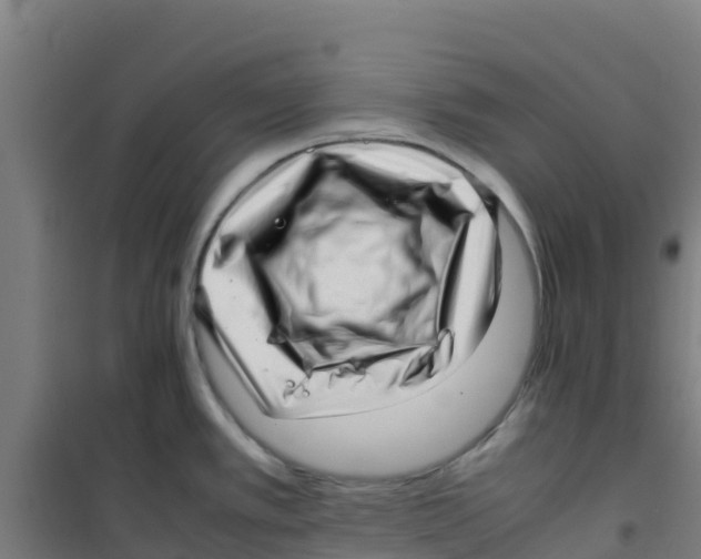 X0000100351389200807031803