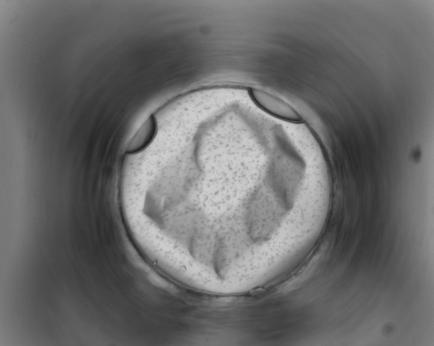 X0000100351390200807031803