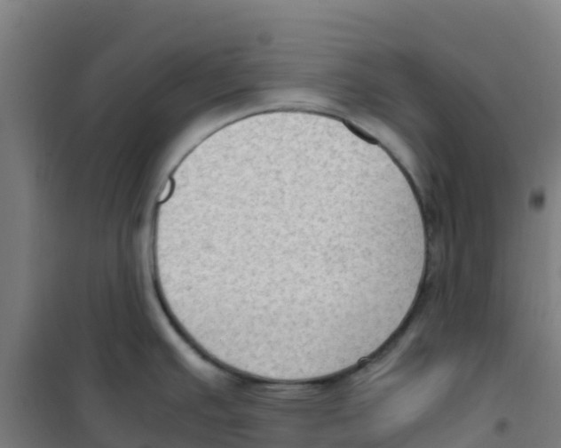 X0000100351391200807031803