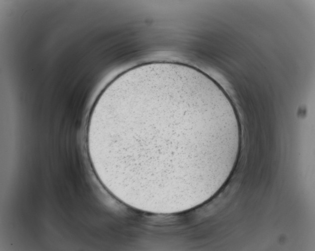 X0000100351392200807031803