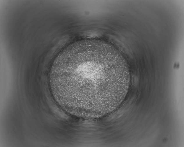 X0000100351393200807031803