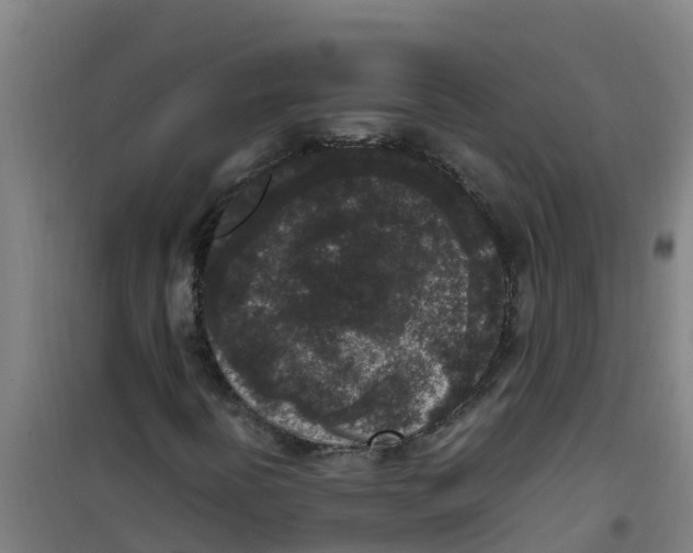 X0000100351394200807031803