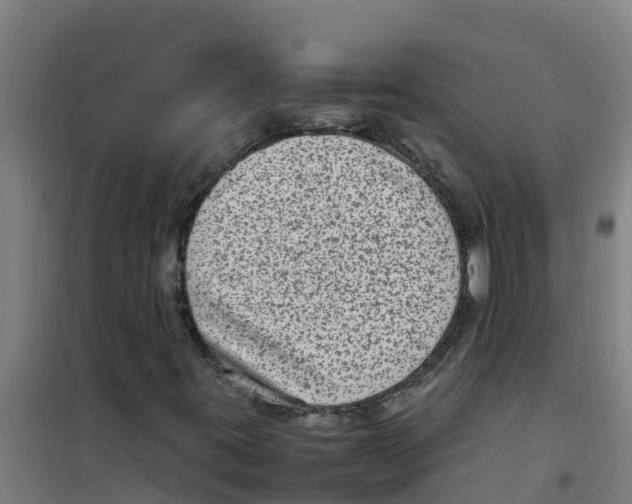 X0000100351395200807031803