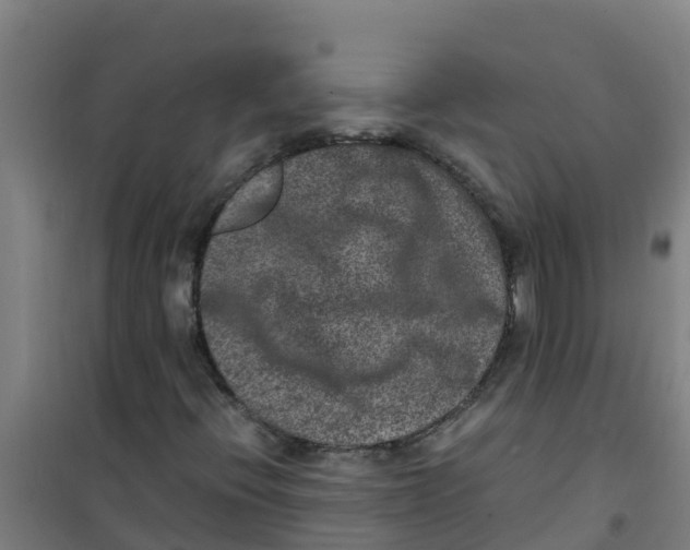 X0000100351396200807031803