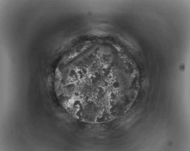 X0000100351397200807031803