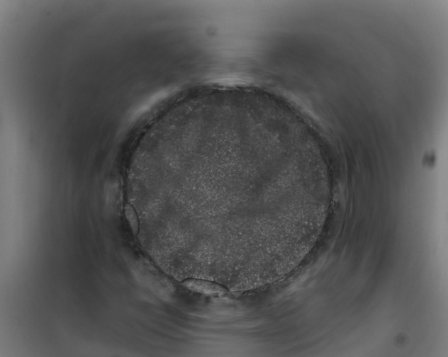 X0000100351398200807031803