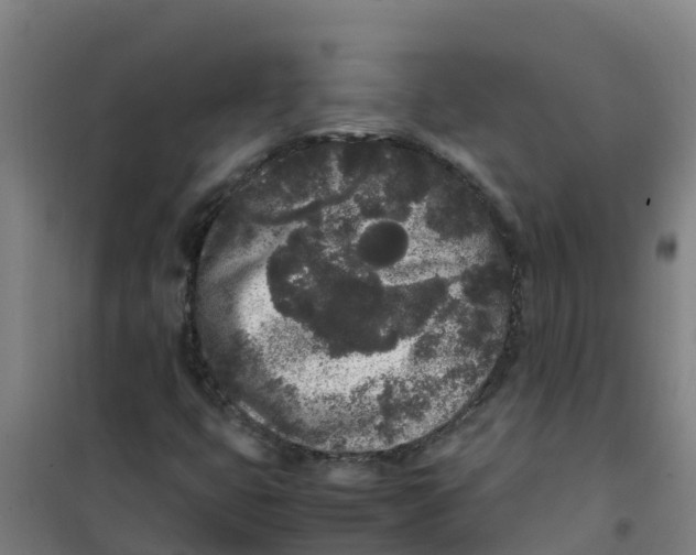 X0000100351399200807031803